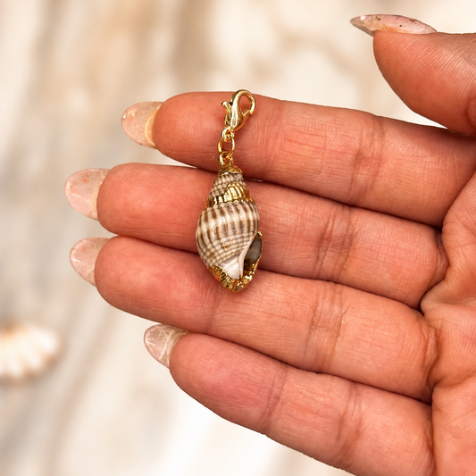 Conch Bay Charm