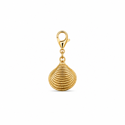 Shell Cove Charm