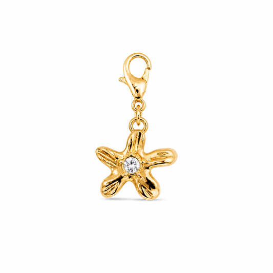 Cosmic Star Charm