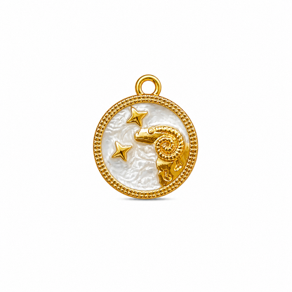 Zodiac Charm