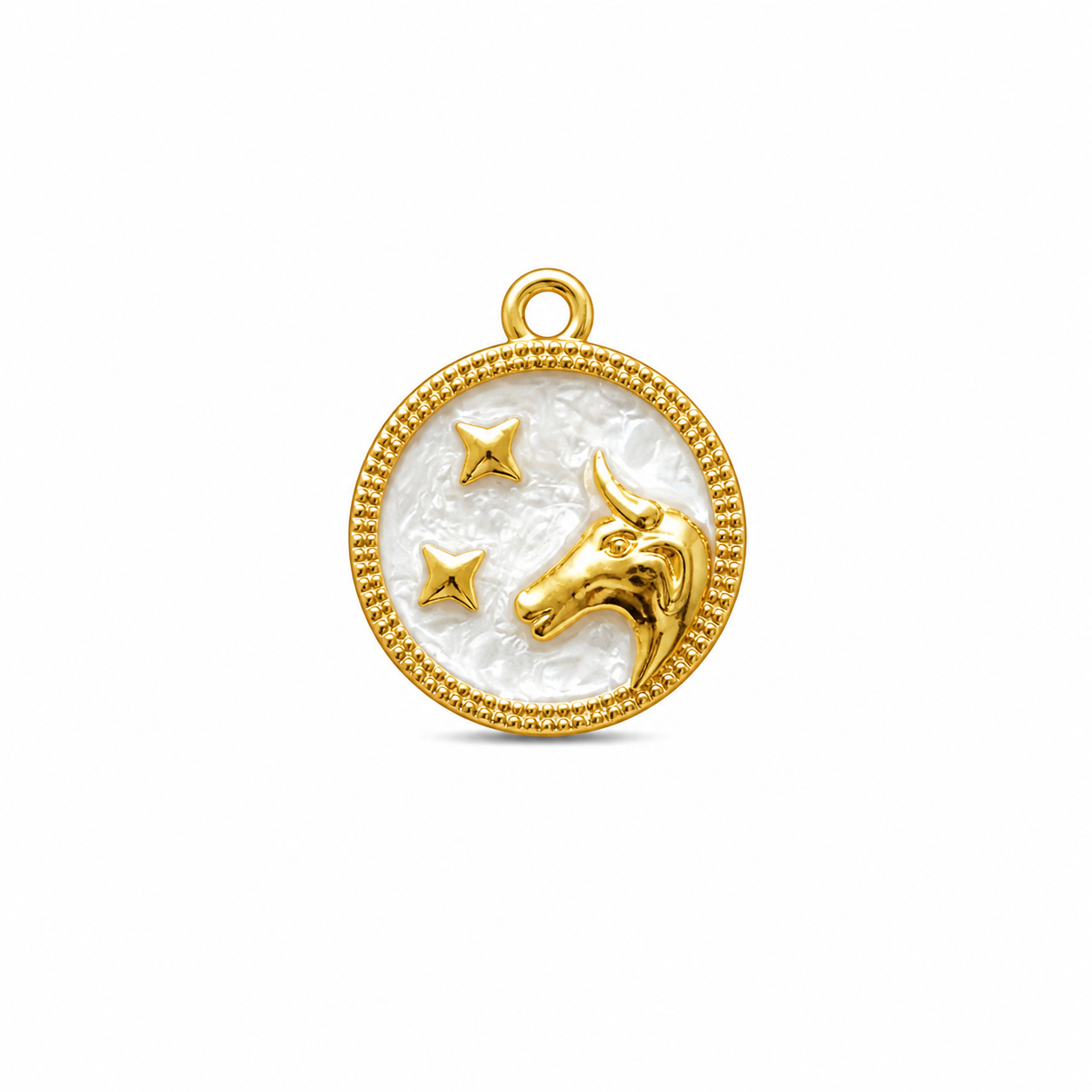 Zodiac Charm