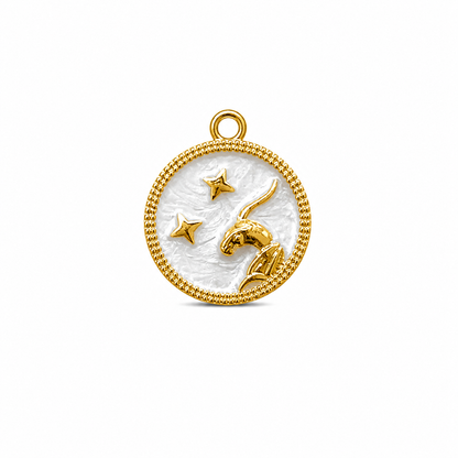 Zodiac Charm