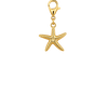 Shore Star Charm