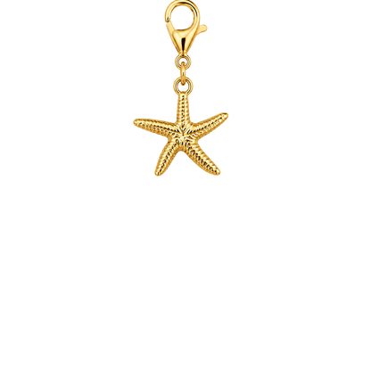 Shore Star Charm