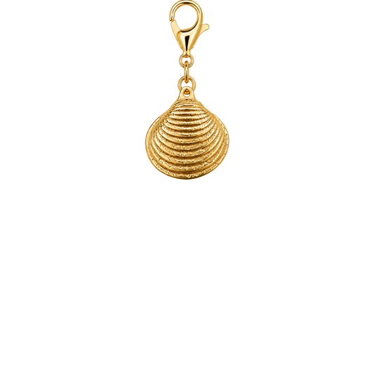 Shell Cove Charm
