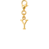 Y Initial Charm - Gold Standard