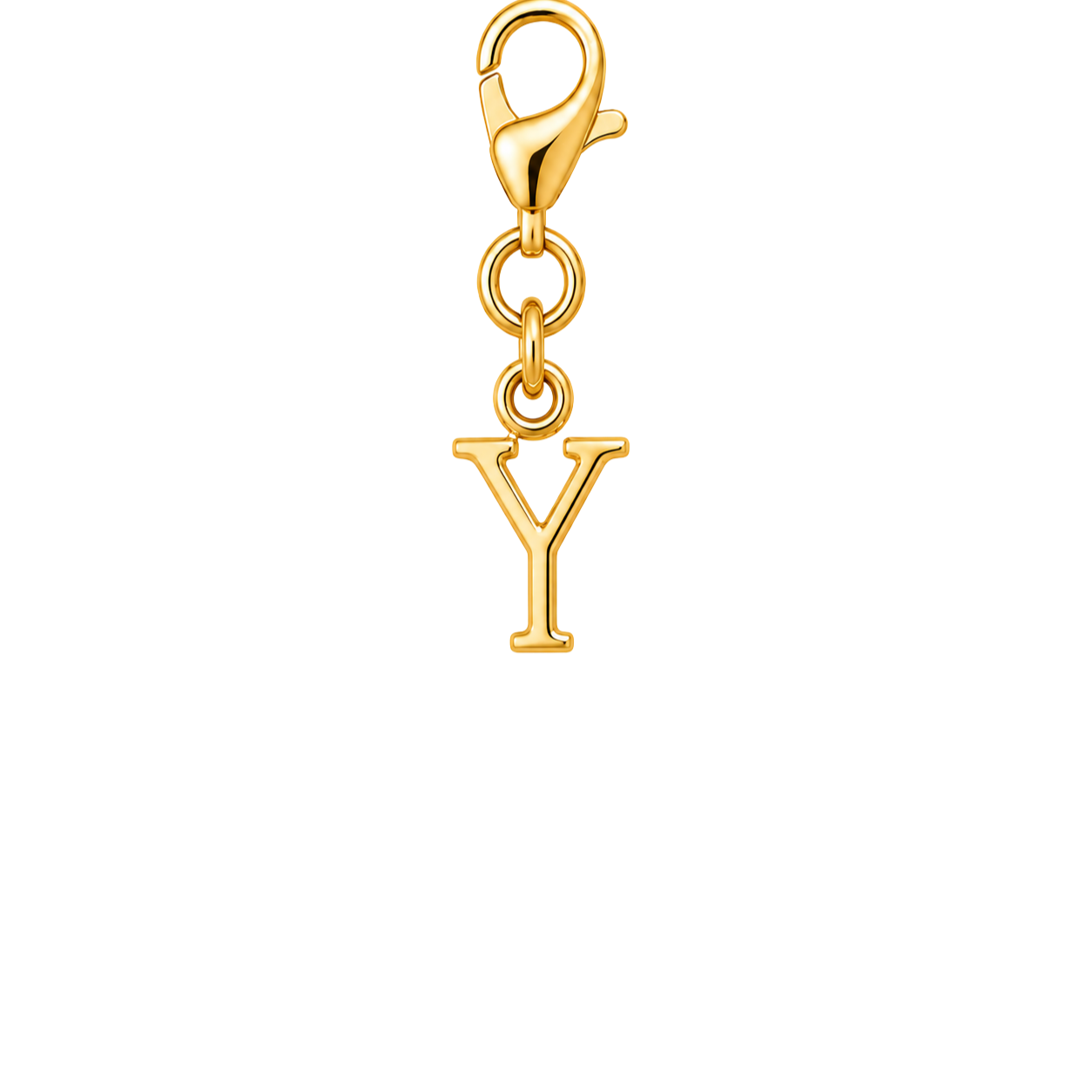 Y Initial Charm - Gold Standard