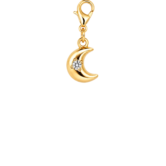 Moonlit Charm