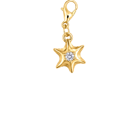 Starlight Charm