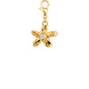Sea Star Charm