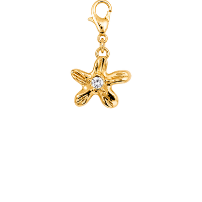 Sea Star Charm