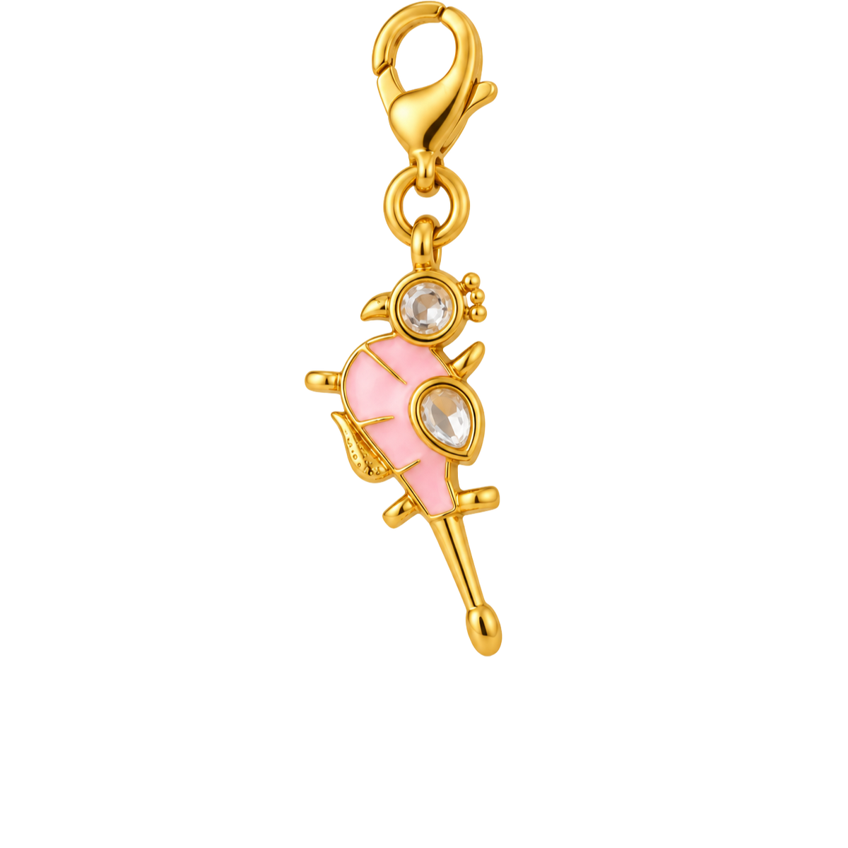 Rani Charm