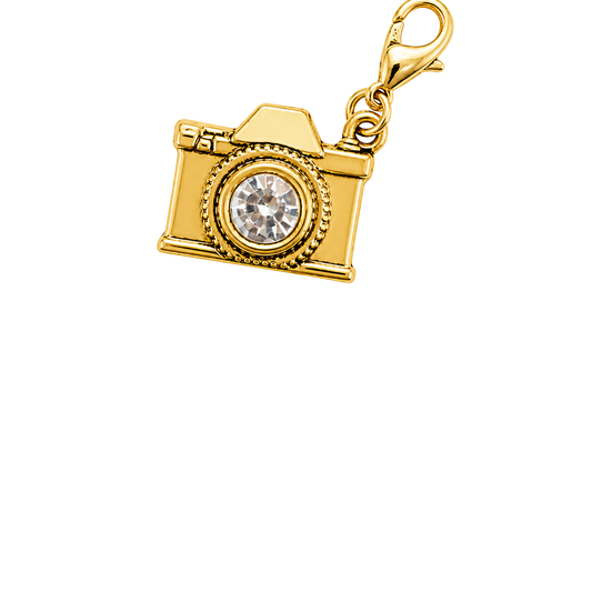 Say Cheese Charm