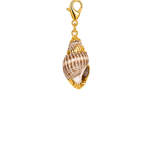 Conch Bay Charm